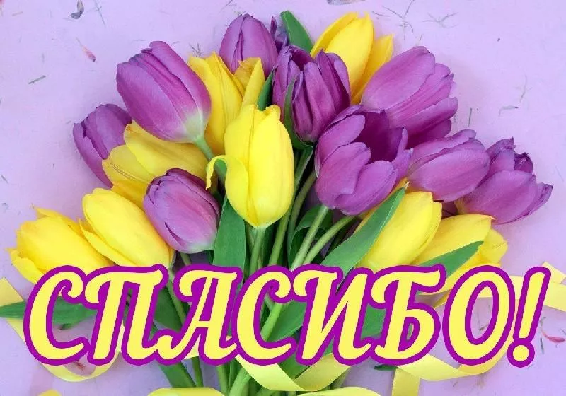 БЛАГОДАРНОСТЬ СПОНСОРАМ  