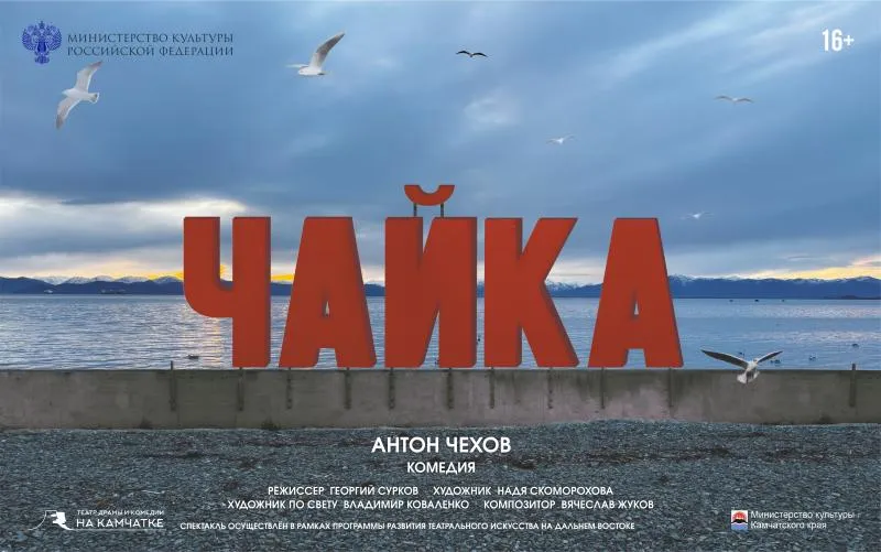 Чайка