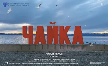 Чайка
